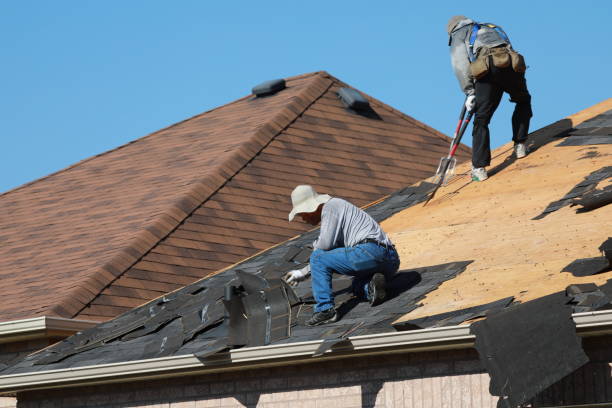 Best Sheet Metal Roofing  in Vineyard, CA