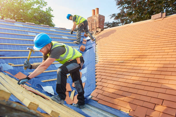 Best Asphalt Shingle Roofing  in Vineyard, CA